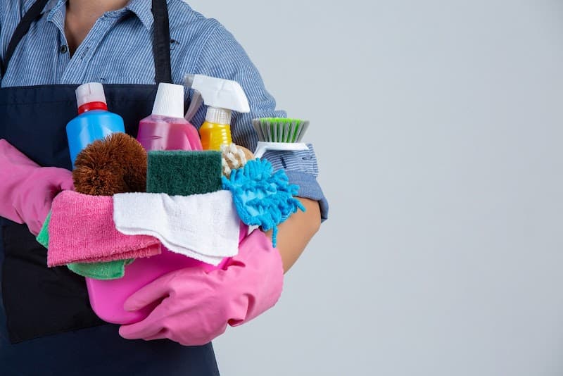 Done in a Dash Cleaning Services cleaning work in Adamstown Heights