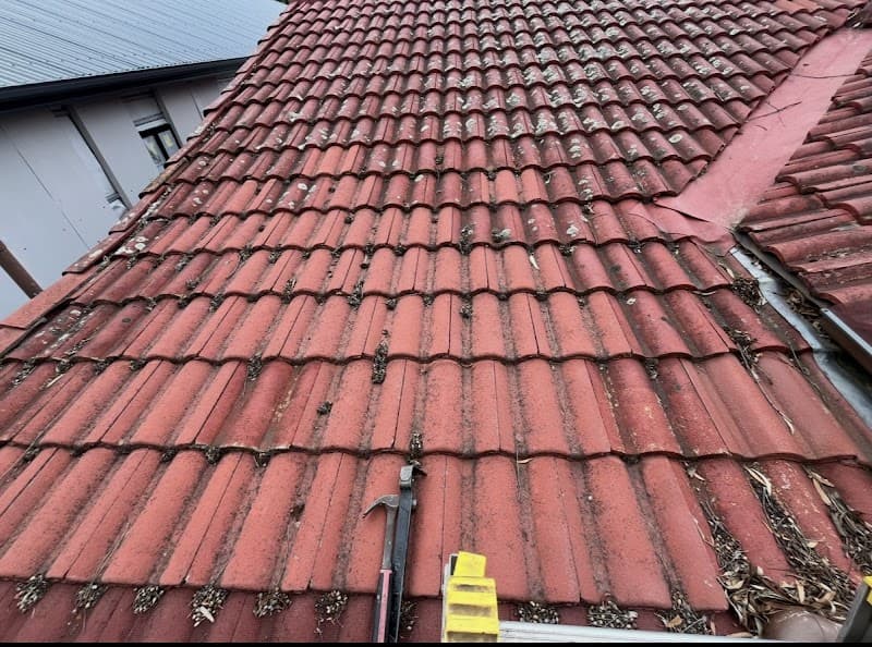 Done Right Roofing and Guttering Services roofing work in Seaton