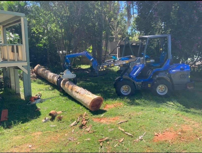 Don't Cut Yourself Tree Services tree services work in Munruben
