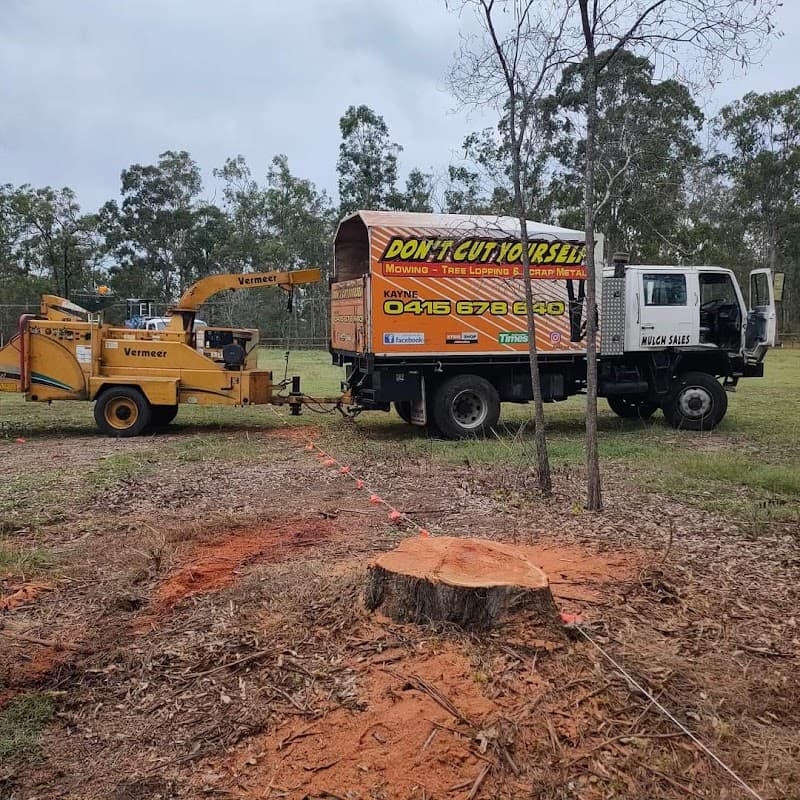 Don't Cut Yourself Tree Services tree services work in Munruben