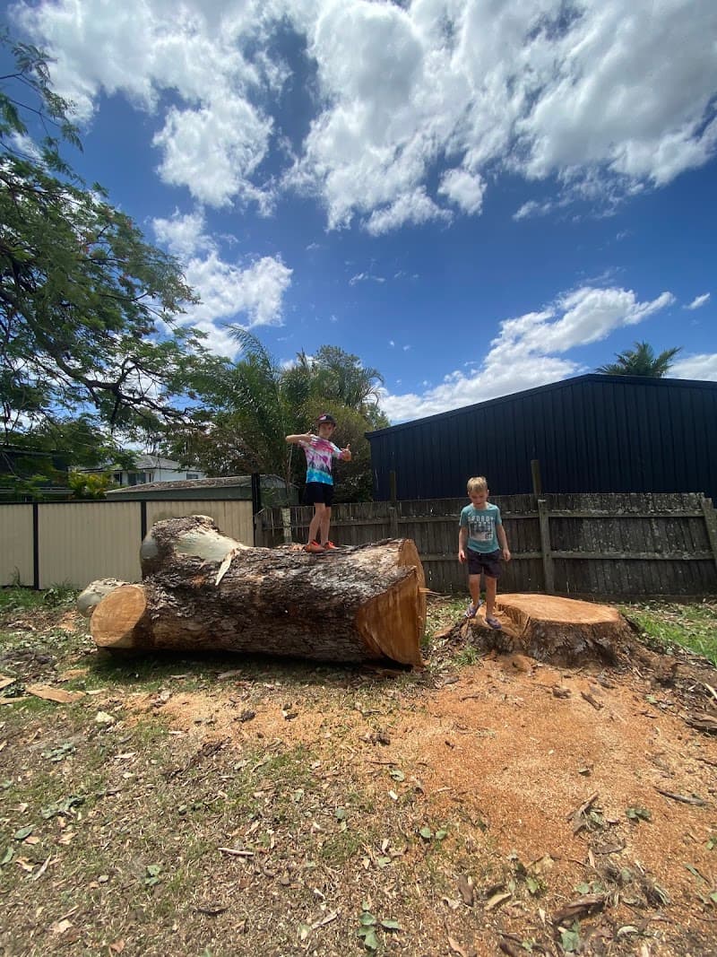 Don't Cut Yourself Tree Services tree services work in Munruben