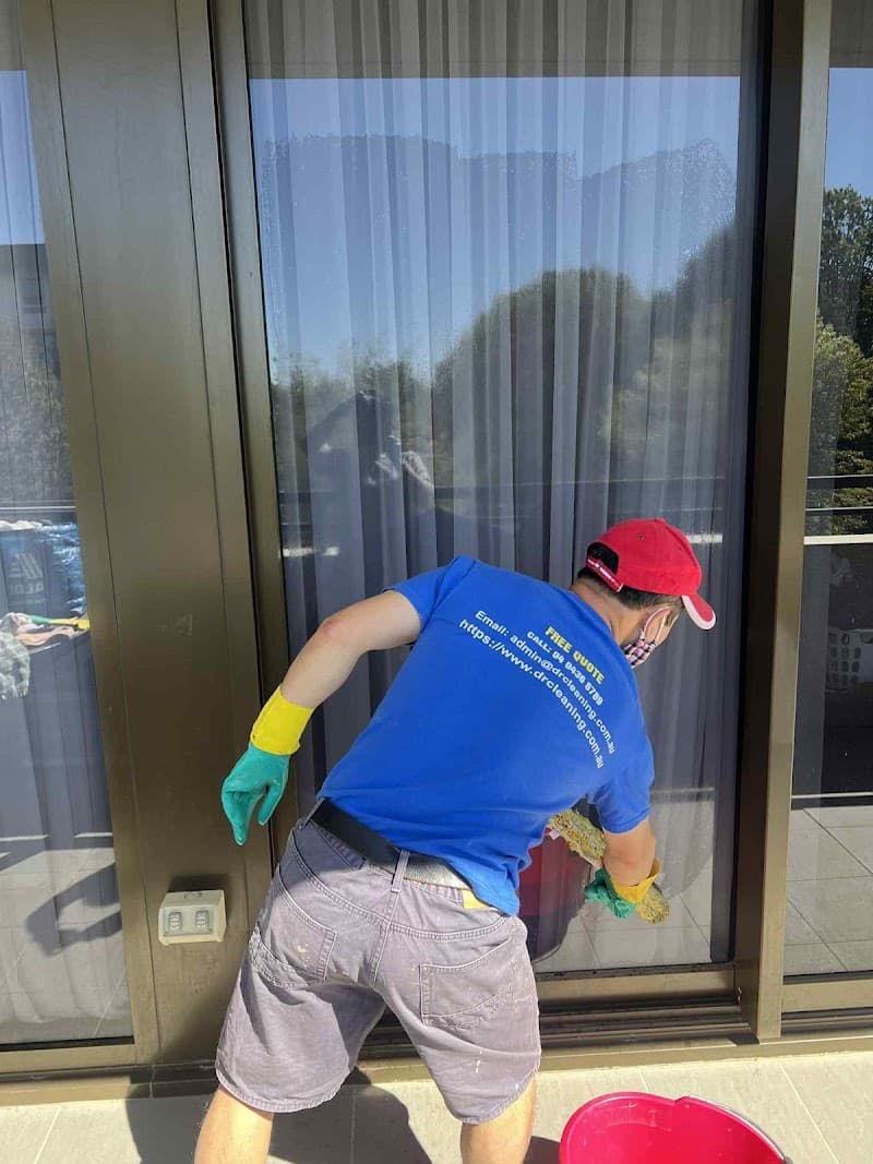 Dr Cleaning oven & bbq cleaning work in Latham