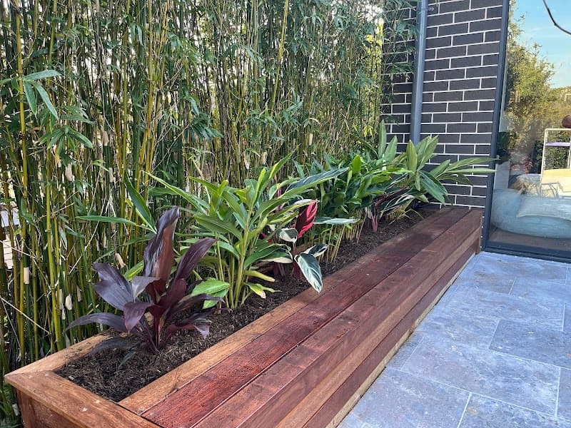 Dr Garden - Landscaping Service Sydney landscaping work in Botany
