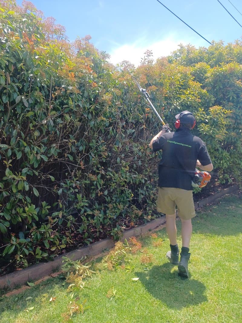Dragonfly Mowing and Maintenance lawn care work in Holt