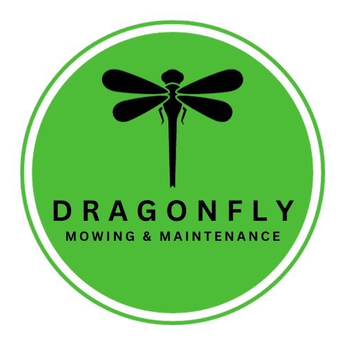 Dragonfly Mowing and Maintenance lawn care work in Holt