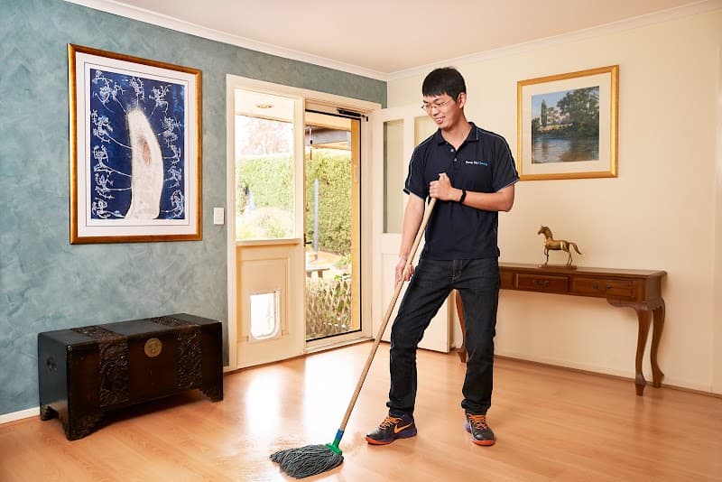 Dream City Cleaning cleaning work in Weetangera