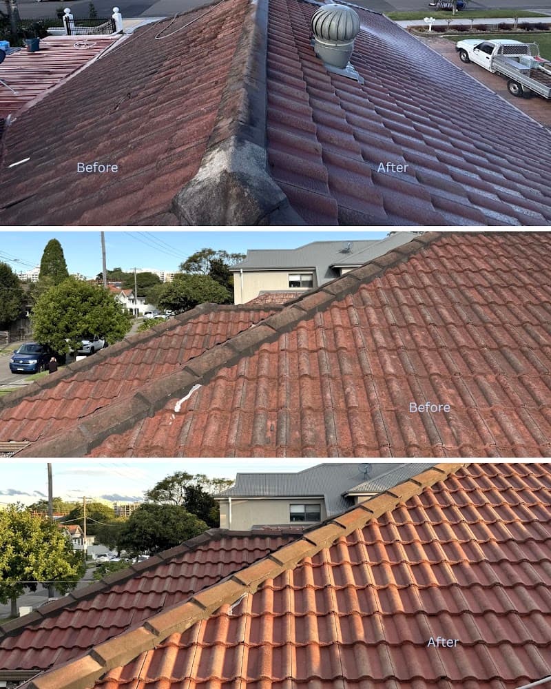 Drip Exterior Cleaning pressure washing work in Caringbah