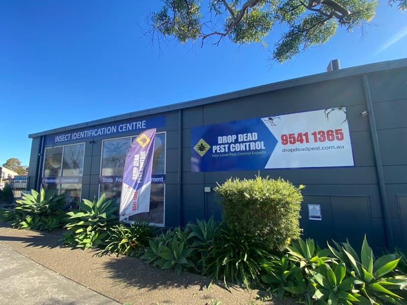 Drop Dead Pest Control pest control work in Menai