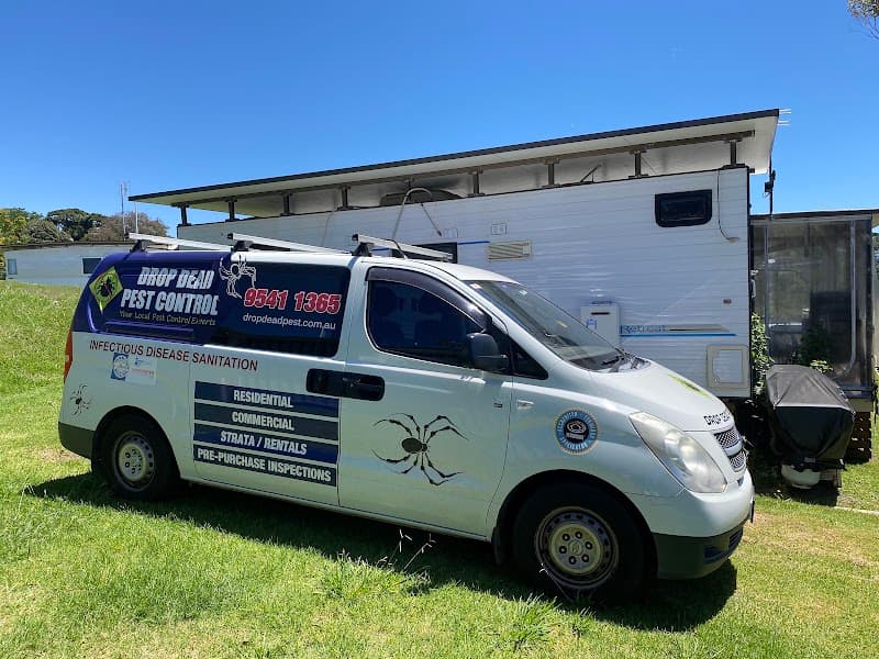 Drop Dead Pest Control pest control work in Menai