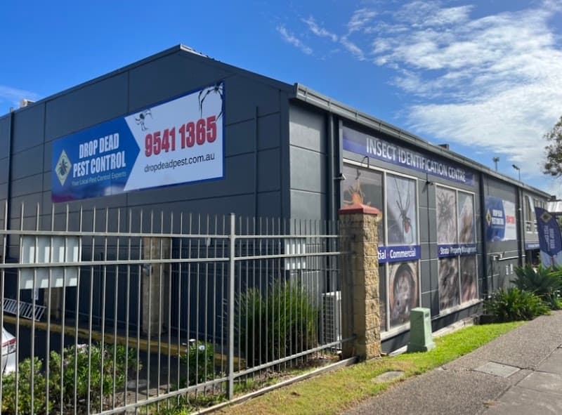 Drop Dead Pest Control pest control work in Menai
