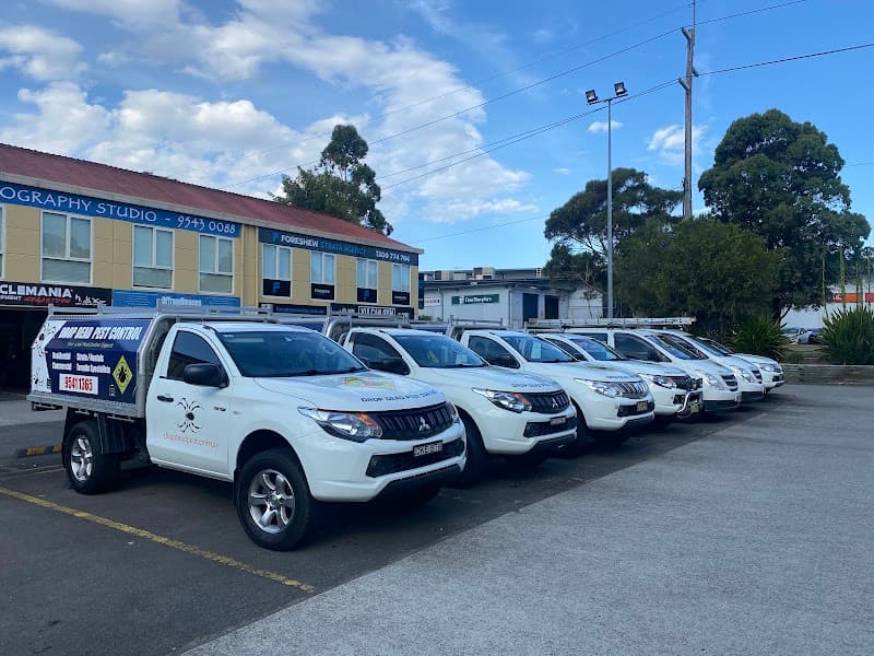 Drop Dead Pest Control pest control work in Menai