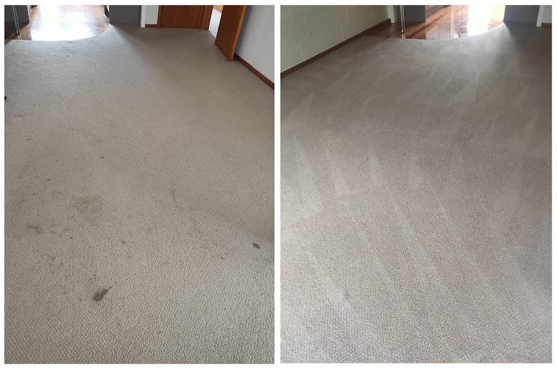 Drymaster Carpet Cleaning Newcastle carpet cleaning work in Maryville