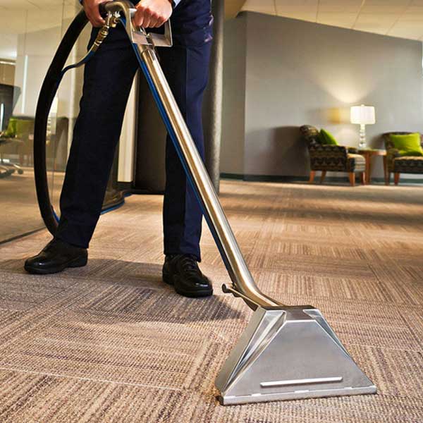 Drymaster Carpet Cleaning Newcastle carpet cleaning work in Maryville