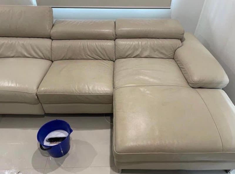 Drymaster Carpet Cleaning Newcastle carpet cleaning work in Maryville