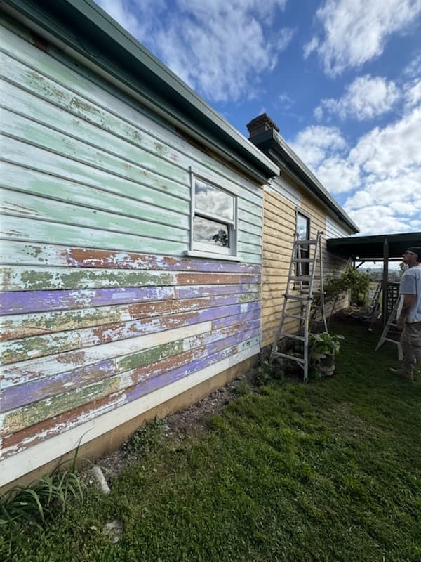 Duke's Painting painter work in Deloraine