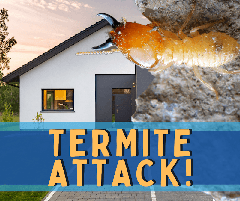 DunRite Termites & Pest Control pest control work in Logan Village