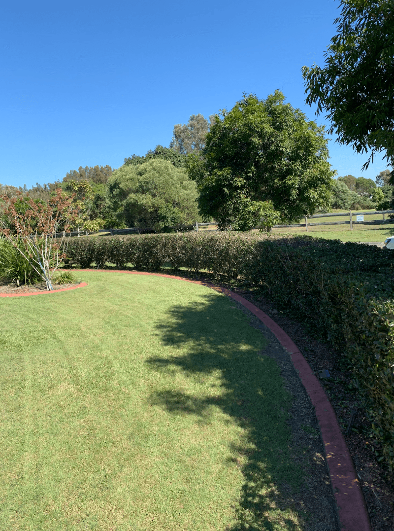 Dylan's Mowing lawn care work in Buderim