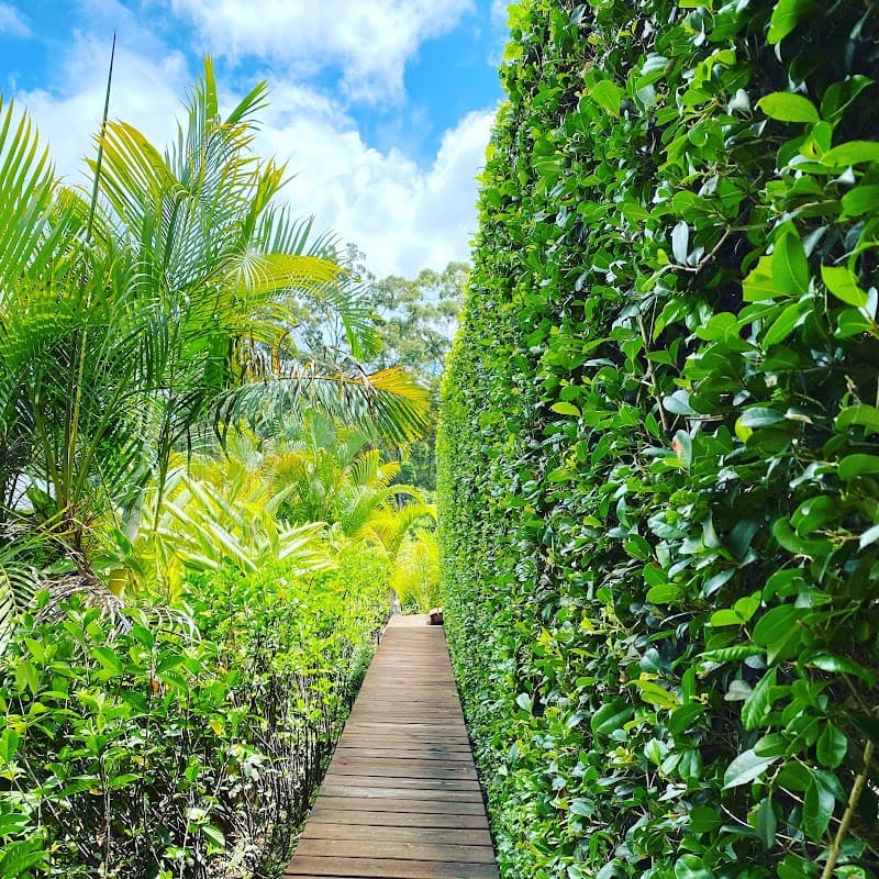 Dylan's Mowing lawn care work in Buderim