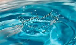 Dynamic Pool Services