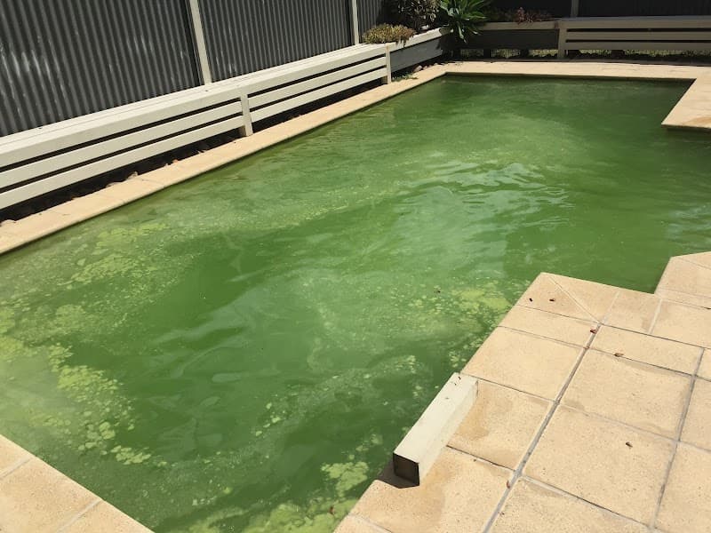 Dynamic Pool Services pool maintenance work in Enoggera