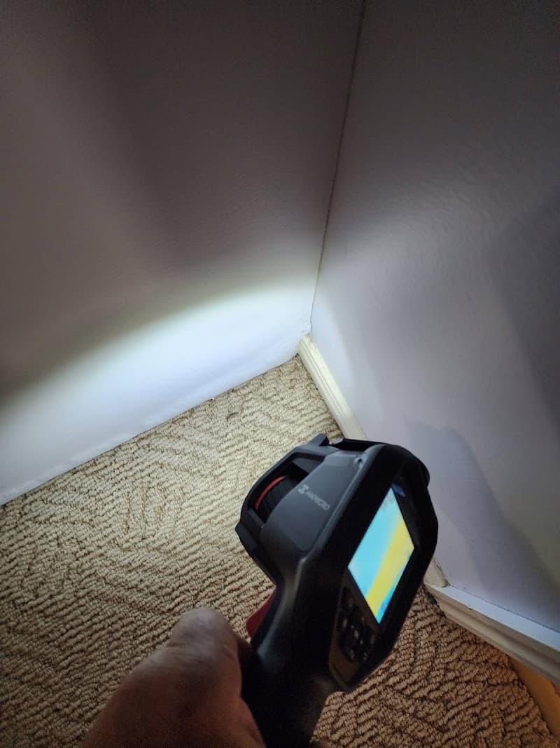 Dynamic Services carpet cleaning work in Limestone Creek