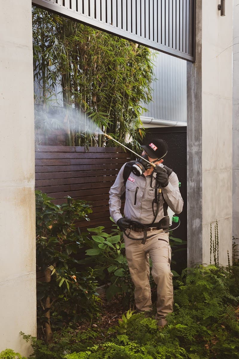 East West Pest pest control work in Ipswich