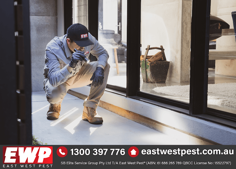 East West Pest pest control work in Ipswich