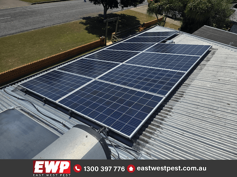 East West Pest pest control work in Ipswich