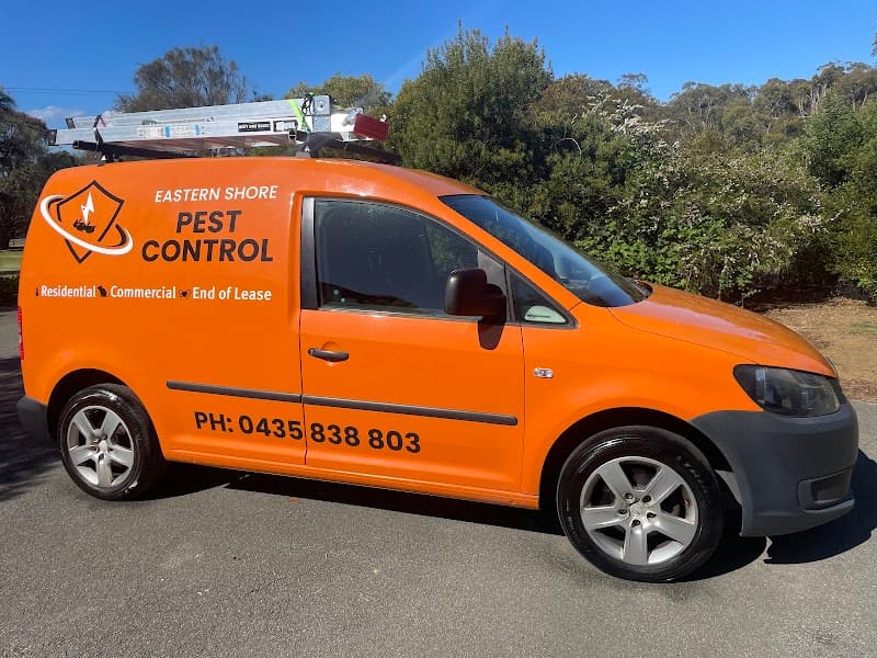 Eastern Shore Pest Control pest control work in Acton Park