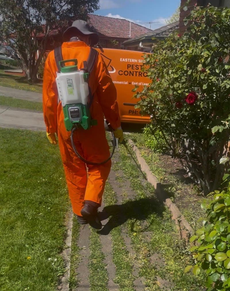 Eastern Shore Pest Control pest control work in Acton Park