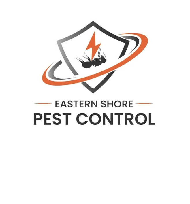 Eastern Shore Pest Control pest control work in Acton Park