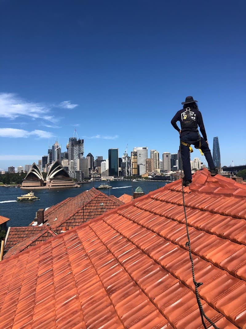 Easy Gutters & Roof PTY LTD gutter cleaning work in Waterloo