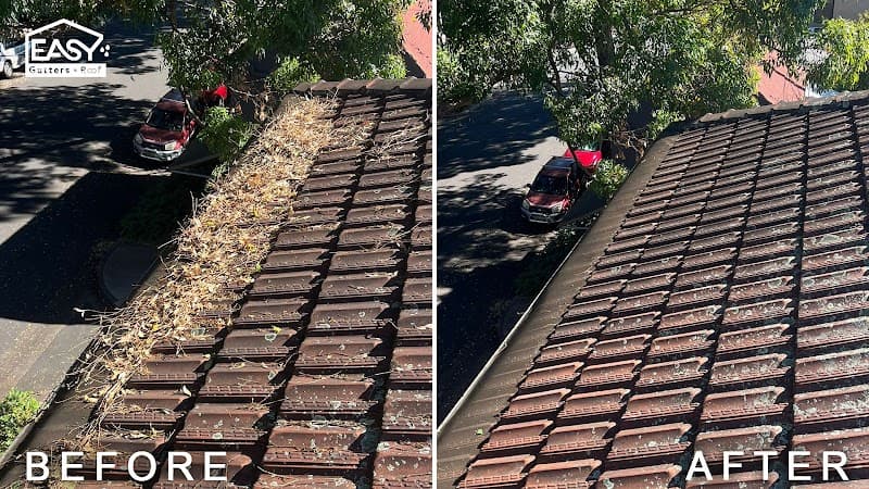 Easy Gutters & Roof PTY LTD gutter cleaning work in Waterloo