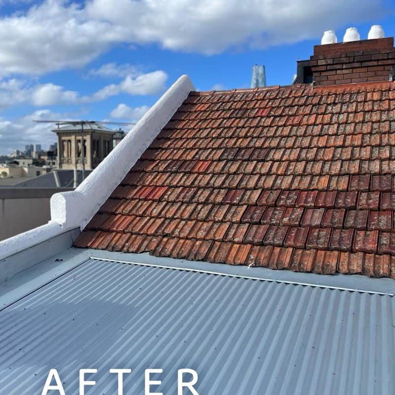 Easy Gutters & Roof PTY LTD gutter cleaning work in Waterloo