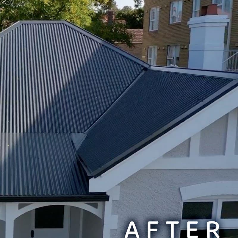 Easy Gutters & Roof PTY LTD gutter cleaning work in Waterloo