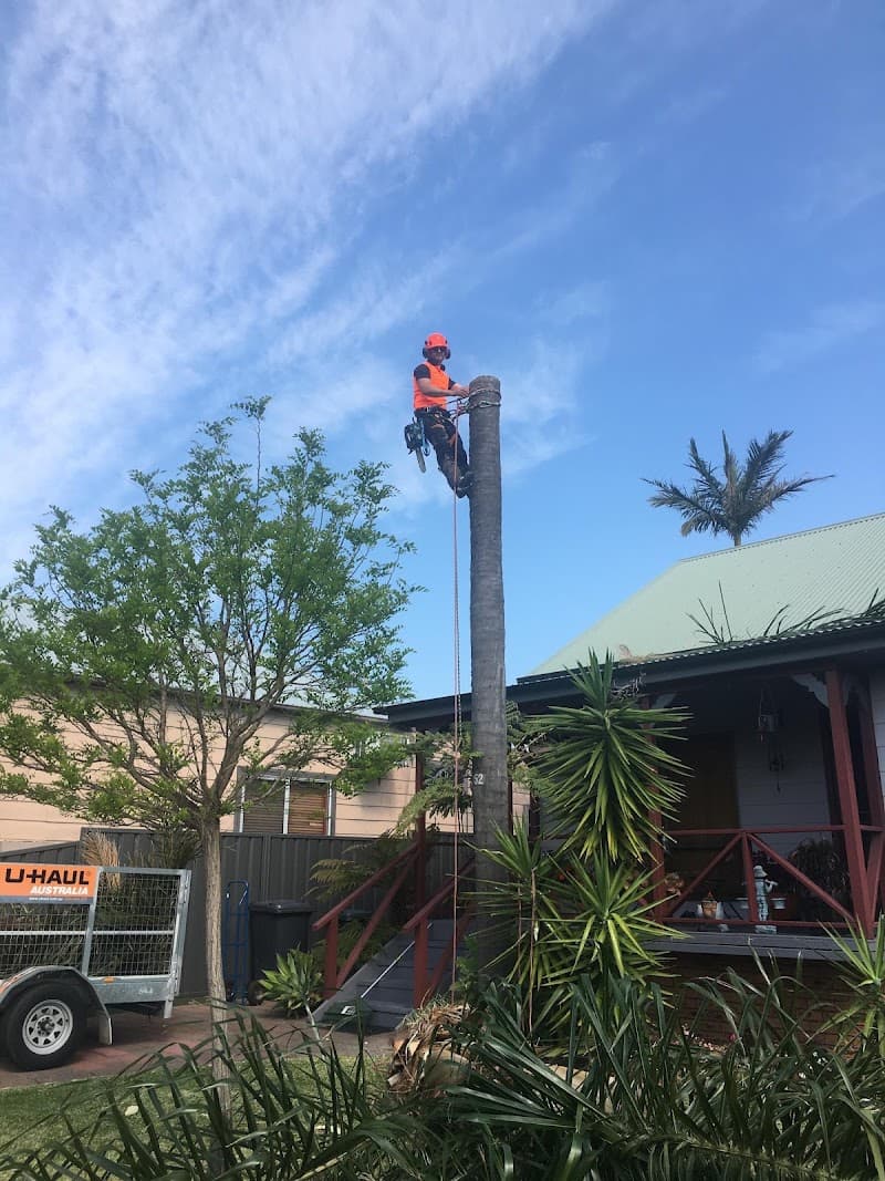 Eclipse Tree Services tree services work in Dudley
