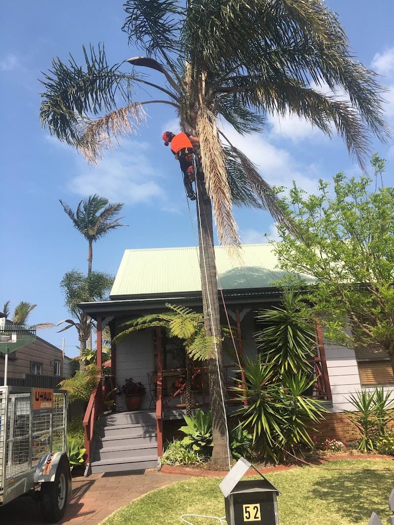 Eclipse Tree Services tree services work in Dudley