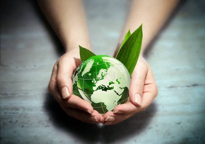 Eco Pest Movement pest control work in Toronto