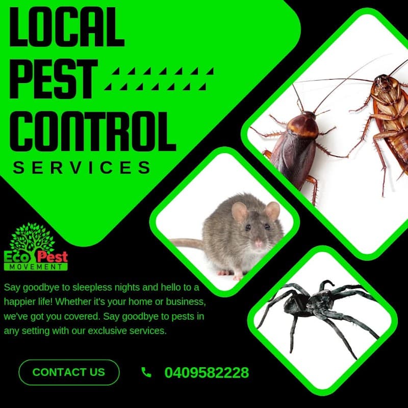 Eco Pest Movement pest control work in Toronto