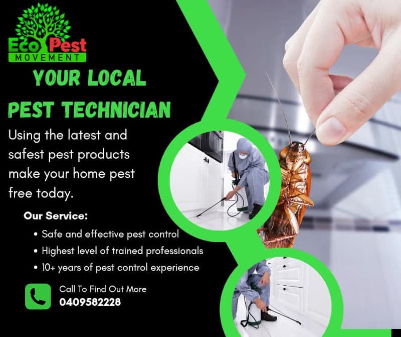 Eco Pest Movement pest control work in Toronto
