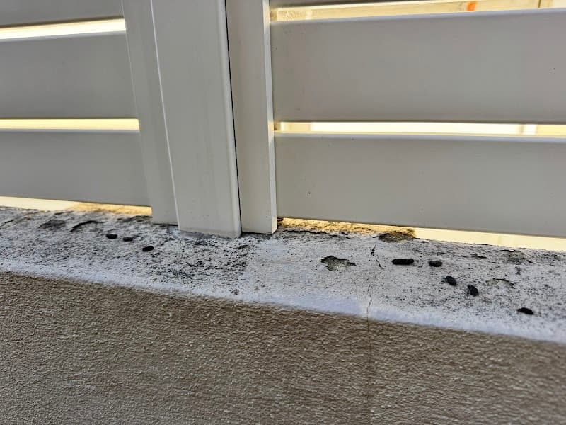 Eco Safe Pest Control Perth pest control work in Clarkson
