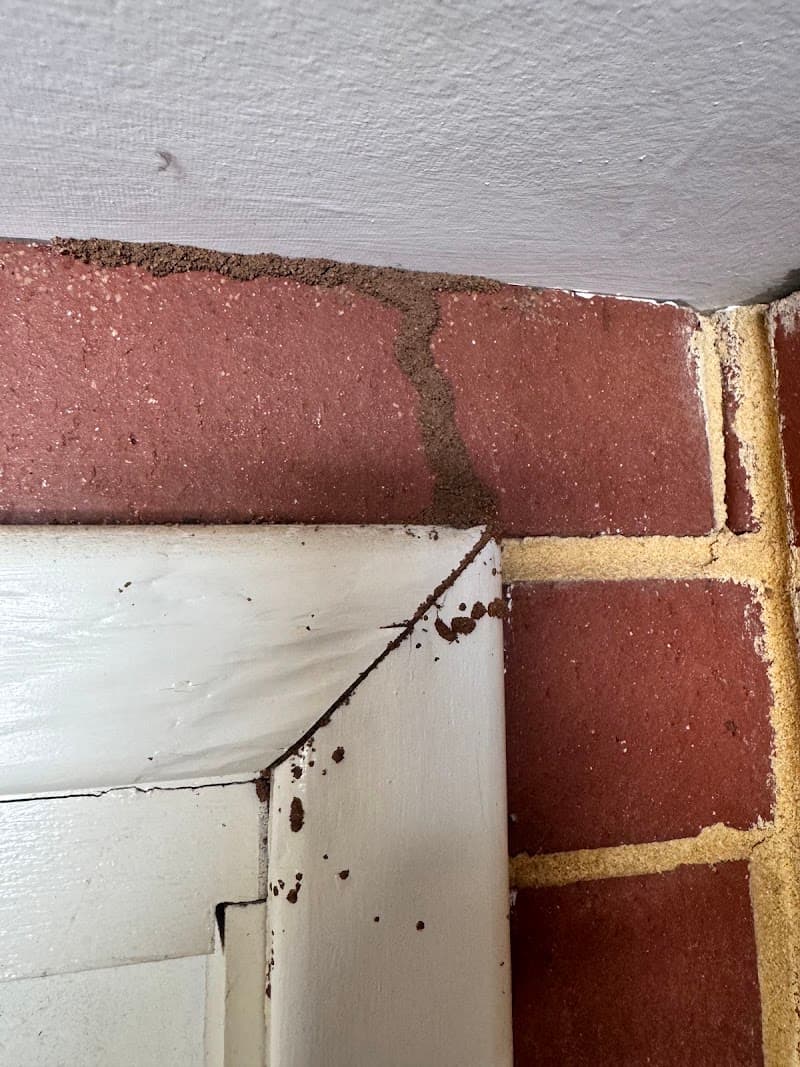 Eco Safe Pest Control Perth pest control work in Clarkson