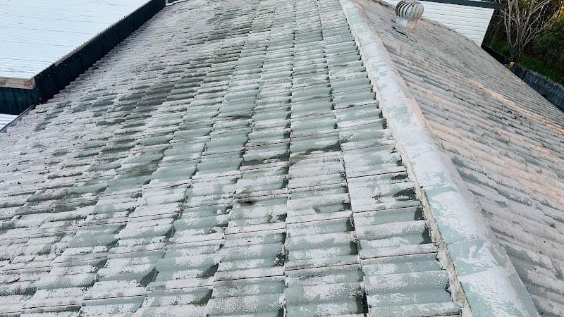 Eco Solar and Gutter Clean solar panel cleaning work in Pallara