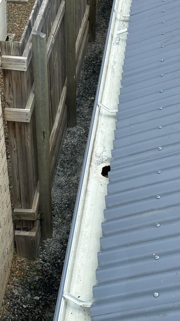 Eco Solar and Gutter Clean solar panel cleaning work in Pallara