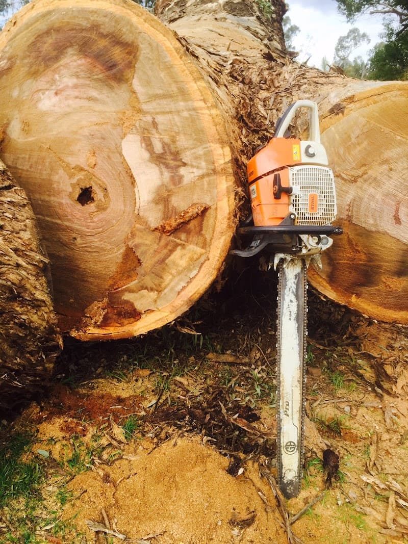 Eco Tree Care tree services work in Albury