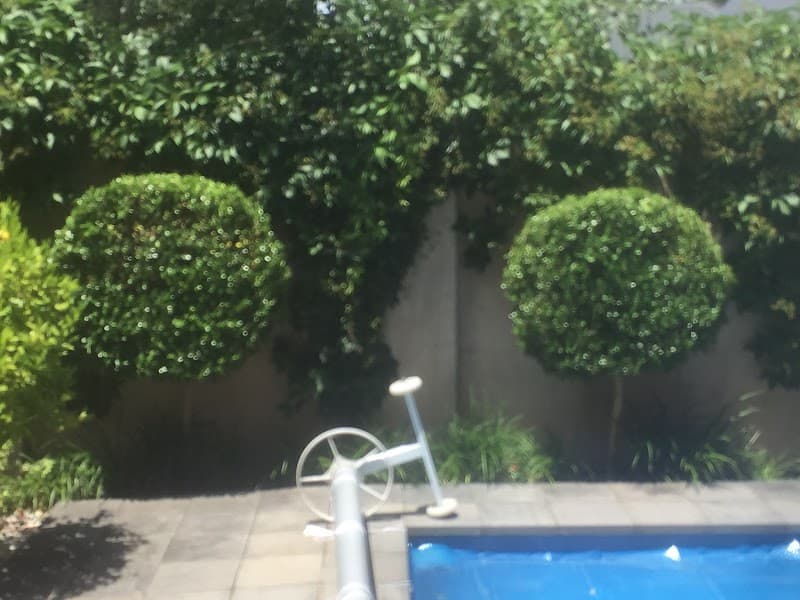 Eco Tree Care tree services work in Albury