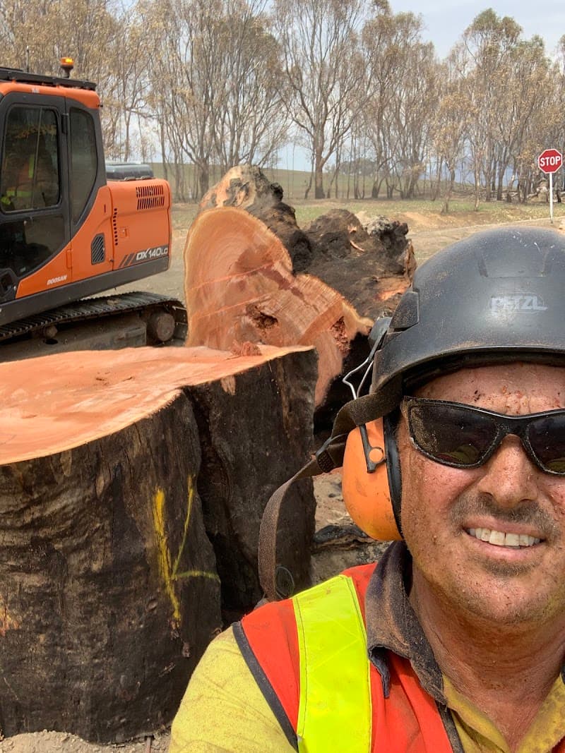 Eco Tree Care tree services work in Albury