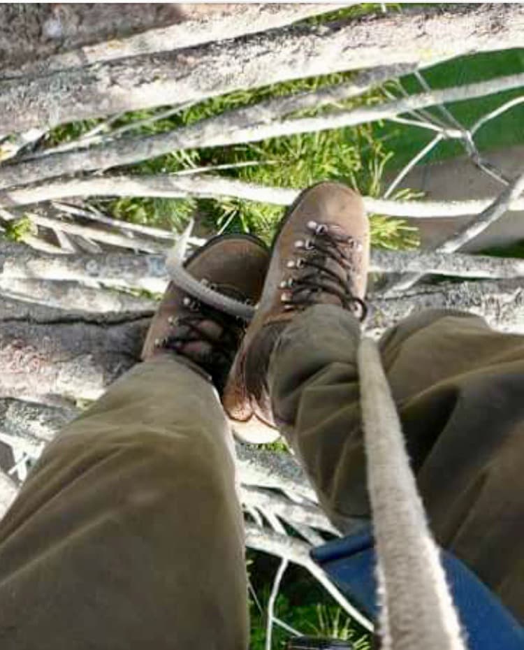 Eco Tree Care tree services work in Albury