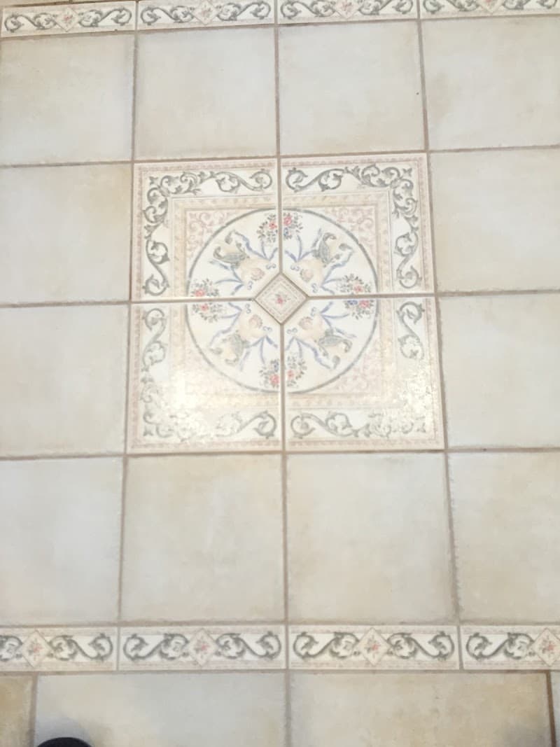 Ecodry Carpet and Tile cleaning oven & bbq cleaning work in Mount Gambier