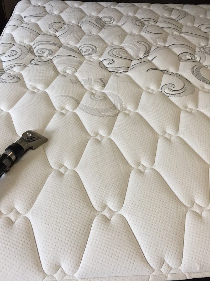 Ecodry Carpet and Tile cleaning oven & bbq cleaning work in Mount Gambier